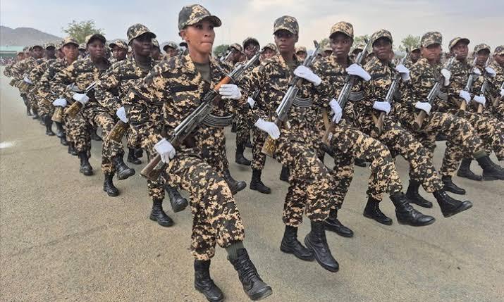 Full List Of Security Agencies In Namibia: Duties And Responsibilities