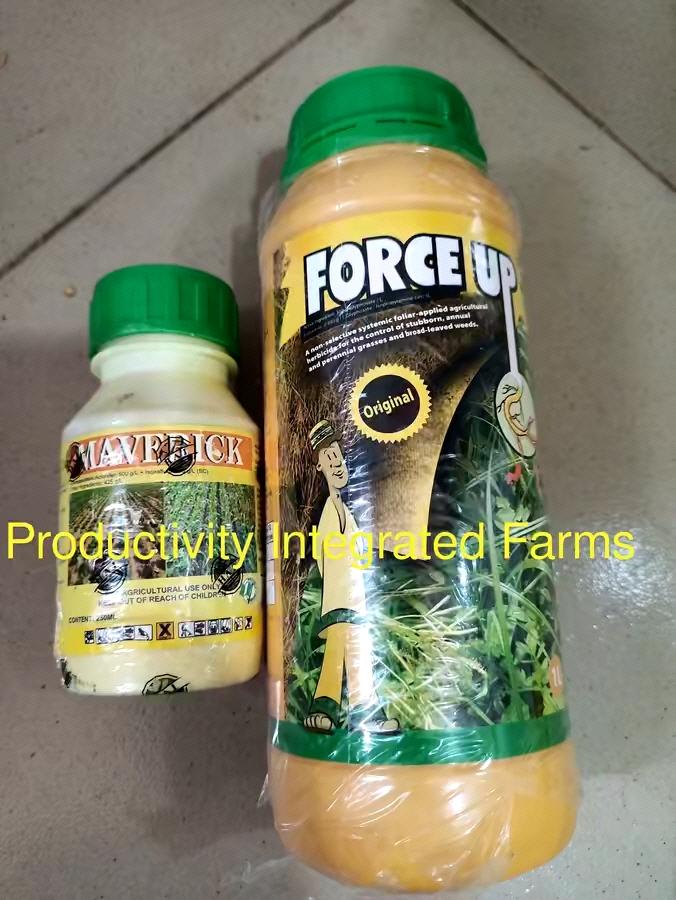Discover Best Agro Chemical For Your Maize
