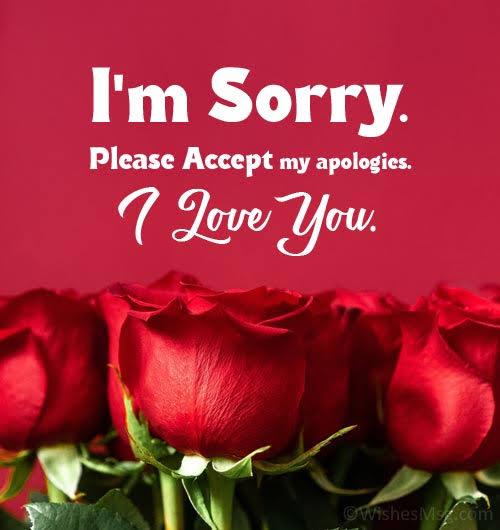 50+ Heartfelt Apology Messages For Her (Sorry Text | Quotes)