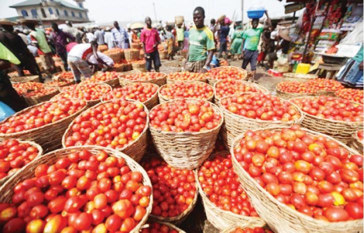 List Of Local Markets In Akwa Ibom State: A Local Guide For Newbies