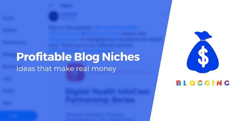 Best-Rated Niches With Highest Rpm/Cpm For Bloggers In Nigeria (2025 Guide)