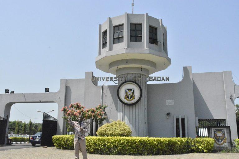 The Top Universities In Oyo State: A Guide For Students And Parents
