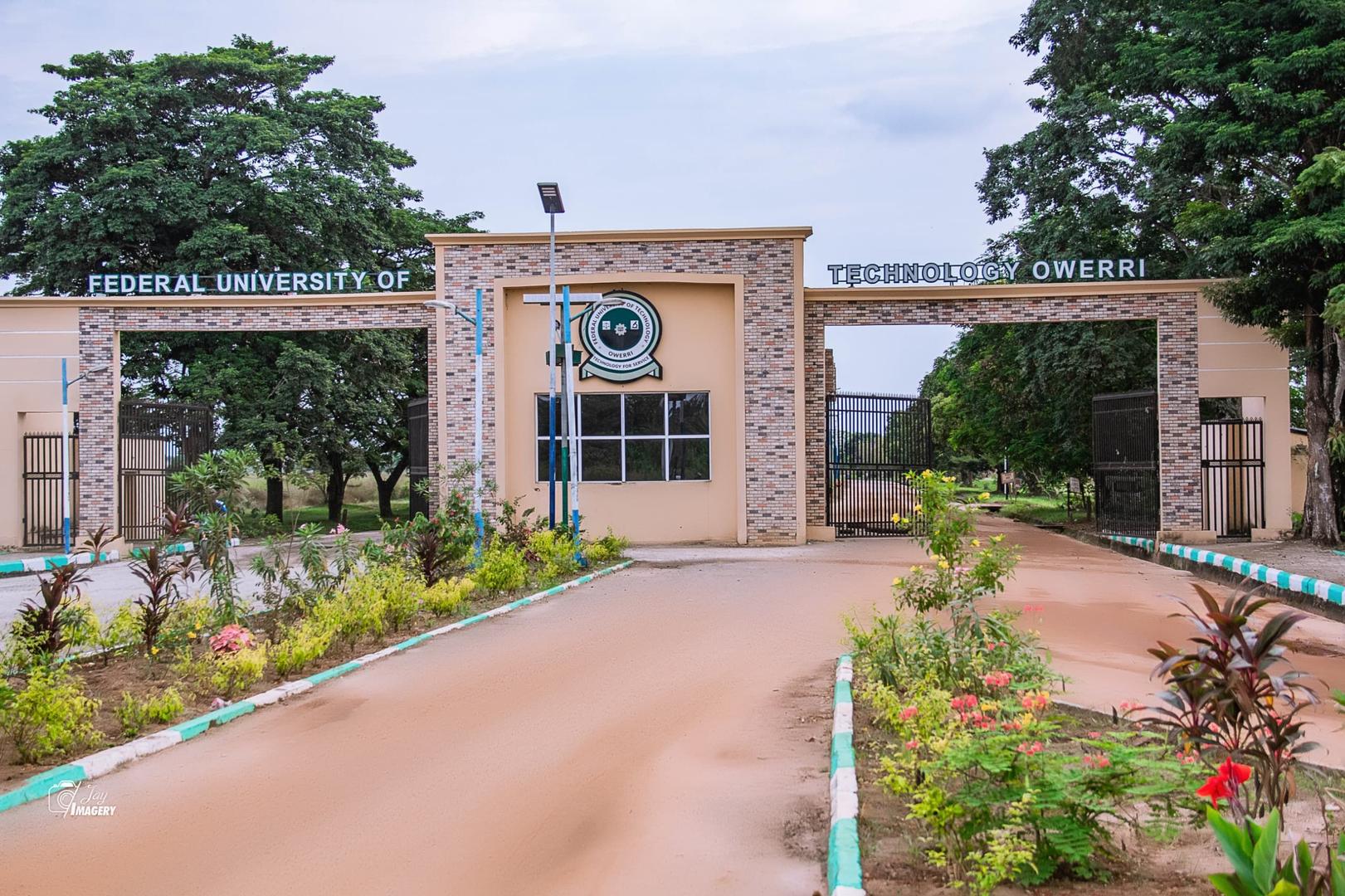 Everything You Need To Know About Federal University Of Technology, Owerri (Futo) (Updated 2025)
