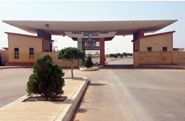 Everything You Need To Know About Federal University Kashere (Fukashere), Gombe State (Updated 2025)