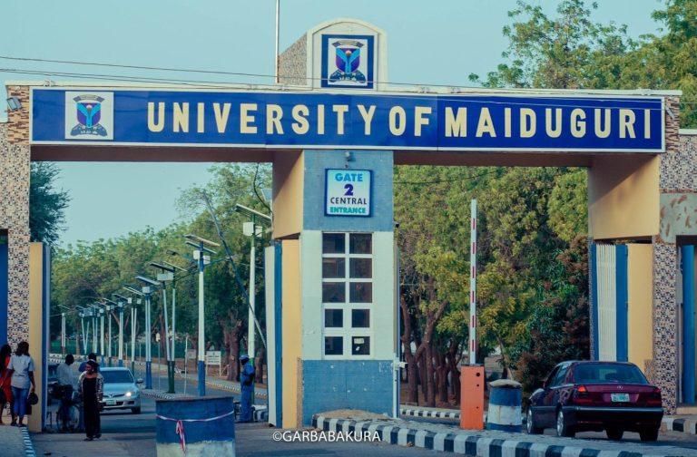 Everything You Need To Know About The University Of Maiduguri (Unimaid)