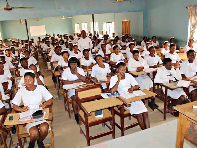 Top 10 Accredited Nursing Schools In Nigeria 2025: Best For Academic Excellence And High Employability Rate