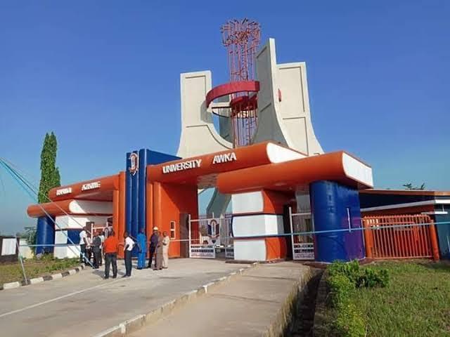 Full List Of Top-Rated Universities In Anambra State 2025: Official Ranking Of The Best Federal, State & Private Institutions