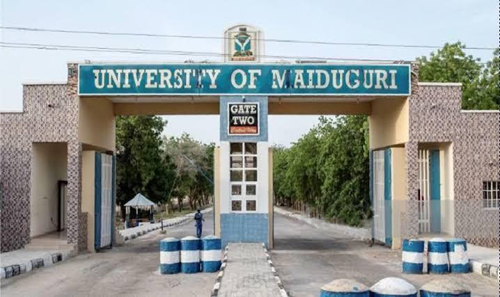 Top-Rated Universities In Borno State 2025: Official Ranking Of The Best Federal, State & Private Institutions