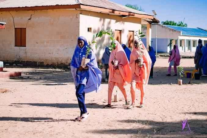 Katsina State’S Top 10 Most Outstanding Secondary Schools