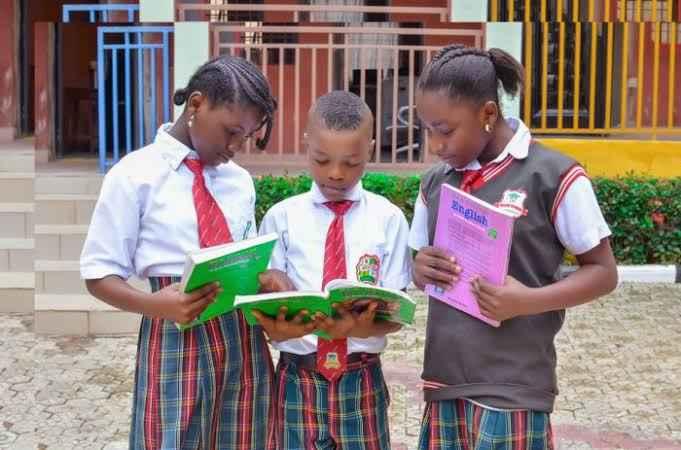 Top 10 Best-Rated Primary Schools In Bauchi State