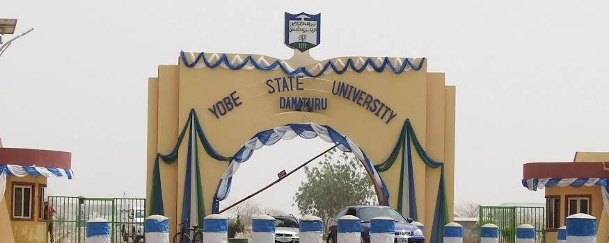 Top‑Rated Universities In Yobe State 2025: Officially Ranking The Best Federal, State & Private Institutions