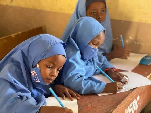 Top 10 Best‑Rated Primary Schools In Borno State