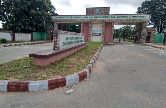 Everything You Need To Know About Imo State University Of Agriculture And Environmental Sciences (Updated 2025)