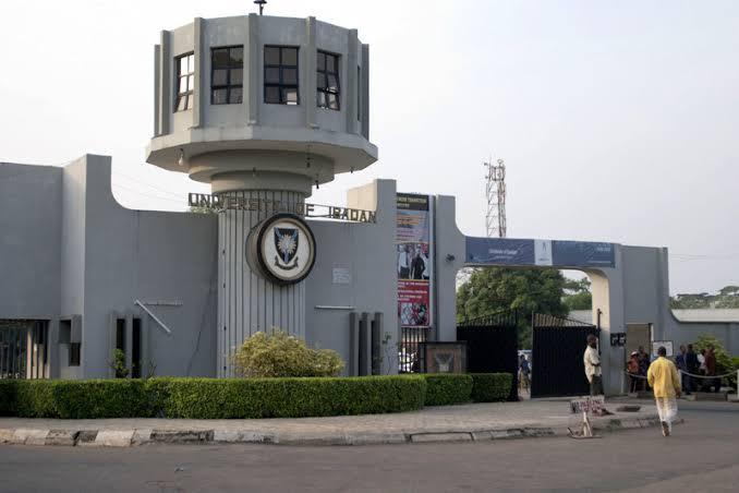 Top 10 Best Rated Universities For Counseling Courses In Nigeria (2025)