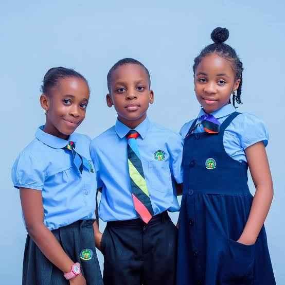 Top 10 Best Rated Primary Schools In Osun State