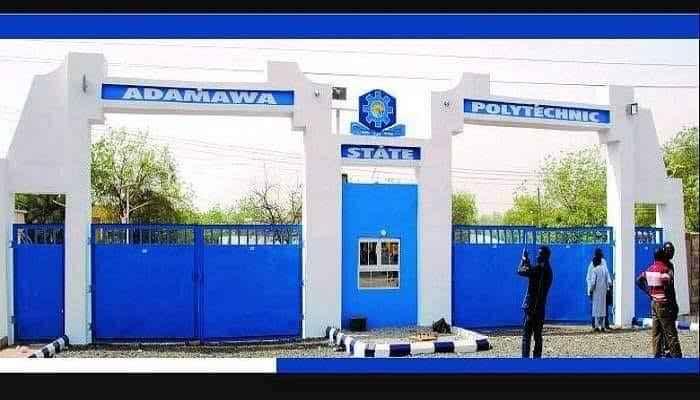 Best Rated Polytechnics In Adamawa State