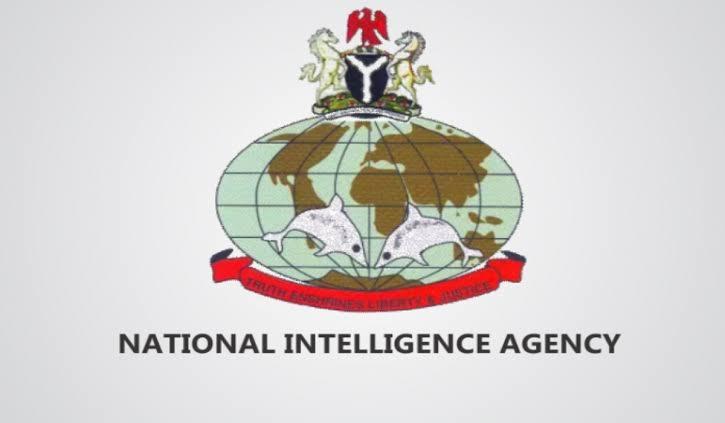 Nia Ranks & Salary Structure In Nigeria 2025: Verified Guide
