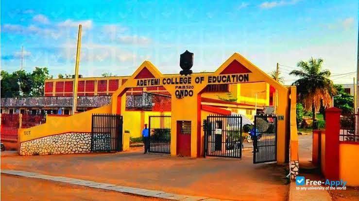 Top 10 Best-Rated Colleges Of Education In Nigeria (2025): Quality Education Guaranteed
