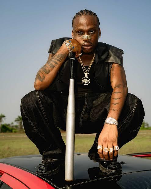 Fireboy Dml Biography, Net Worth And Career Highlights