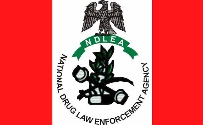 Ndlea Ranks & Symbols: Complete Guide To Nigeria’S Anti-Drug Agency Hierarchy