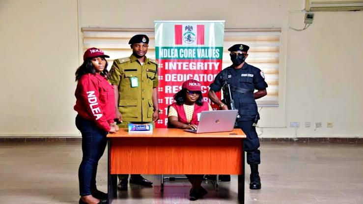 Ndlea Training Allowance & Duration In 2025: Official Guide