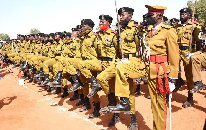 Ndlea Salary & Ranks For Entry-Level Personnel: Bsc, Nce, Hnd, Ond & Ssce Holders In 2025