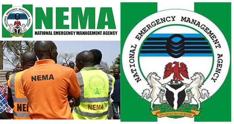 Functions of NEMA: Their Official Roles & Responsibilities