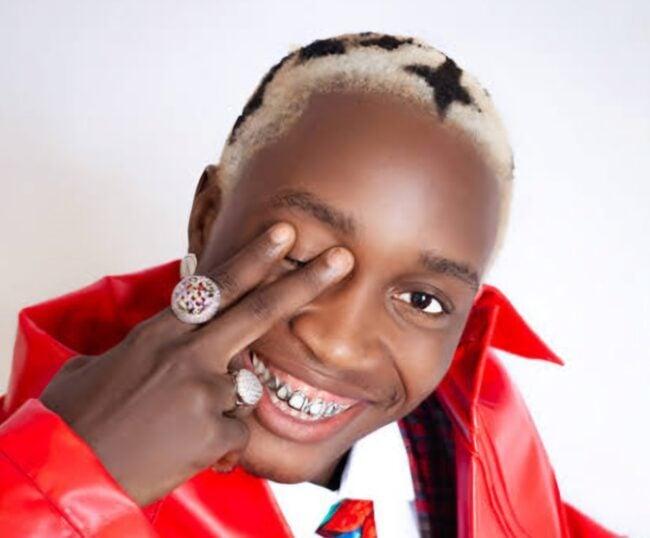 Tml Vibez Biography, Net Worth And Career: Rising Star Of Nigeria’S Street-Pop Movement