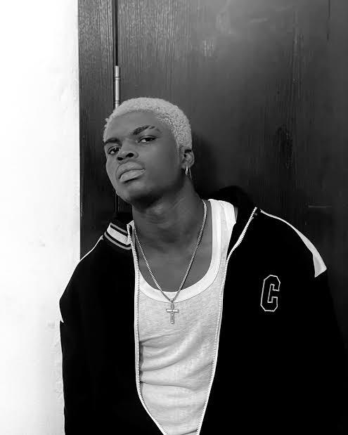 Vicoka Biography, Net Worth, And Career Highlights