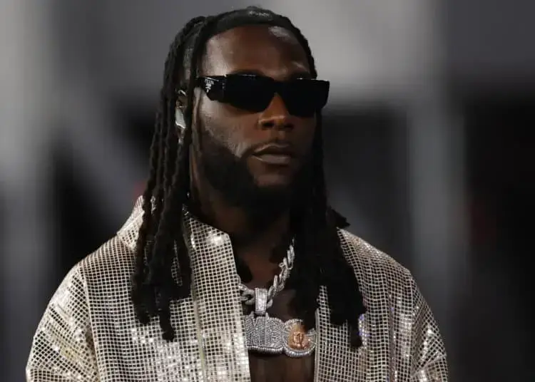 Burna Boy: Biography, Net Worth And Music Career