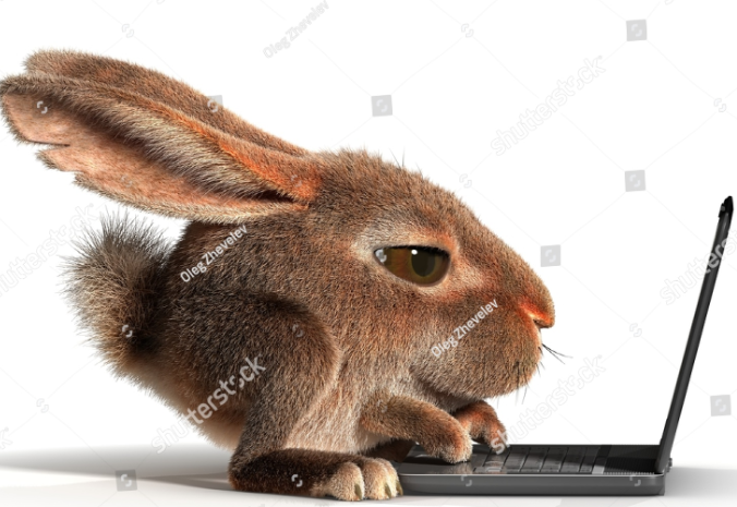 Valerie Coleman's avatar