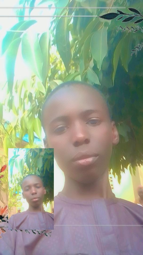 User