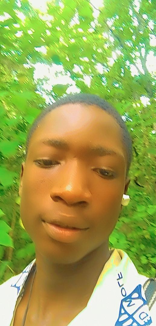 User