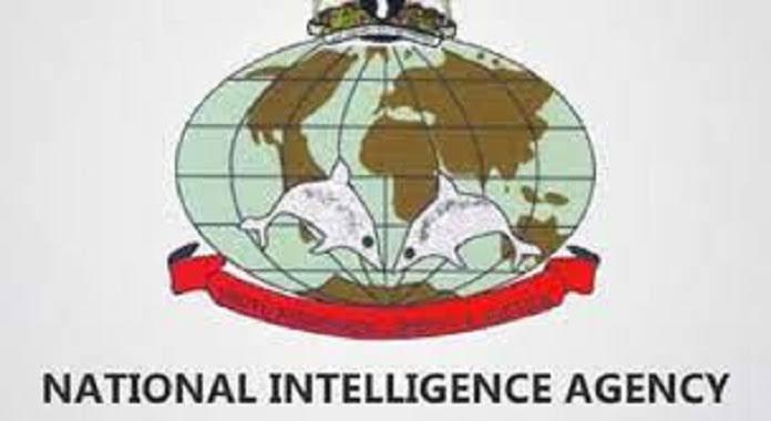 National Intelligence Agency (Nigeria) Ranks And Symbols: An Official Hierarchy