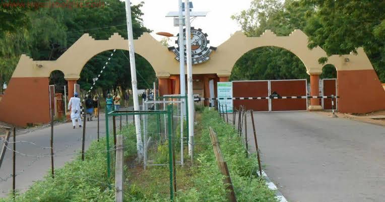 Top 20 Universities In Adamawa State 2025: An Official Ranking Of The Best Federal, State, And Private Institutions