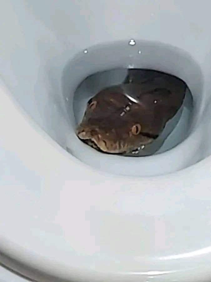 Thread Thumbnail
