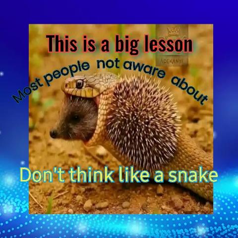 Thread Thumbnail