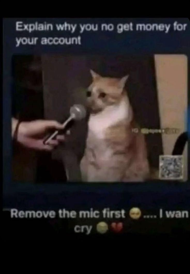 Thread Thumbnail