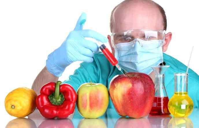GMO(Genetically Modified Organism).