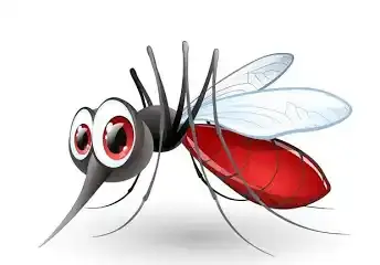 Facts about mosquitoes