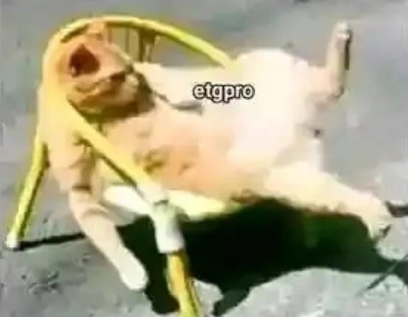 How corruption started