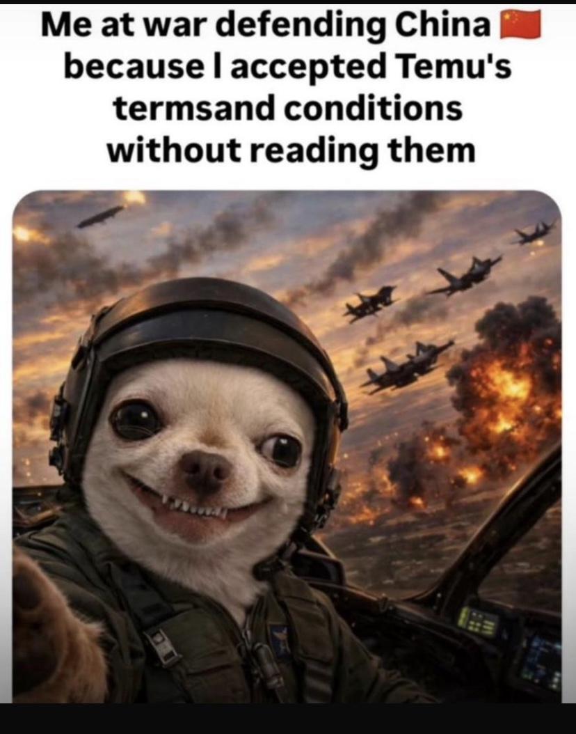 Terms and Conditions